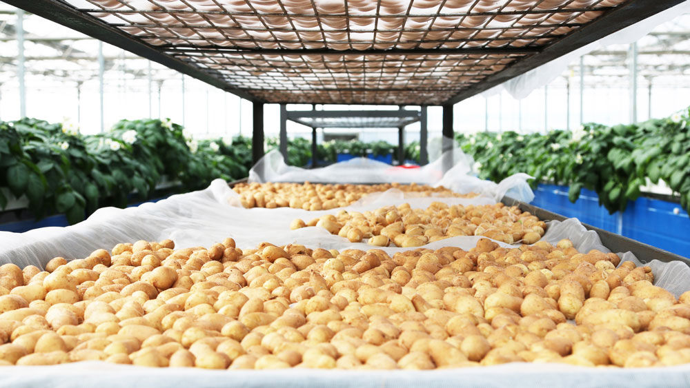 JBO��Ѷ��(�й���)�ٷ���վ���������֡�����